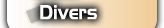 Divers